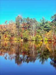 Image result for Braintree Golf Club Limited