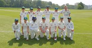 Image result for Redlynch and Hale Cricket Club