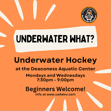 Image result for St Albans Underwater Hockey Club