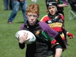 Image result for Weybridge Vandals Rugby Club