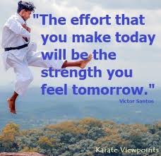 Image result for North Yorkshire Goju Ryu Karate Club