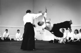 Image result for Ki Aikido (Epsom Ki Aikido