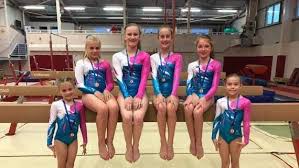 Image result for Forest Of Dean Gymnastics Club