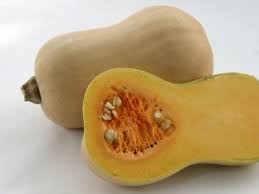 Image result for Kürbis