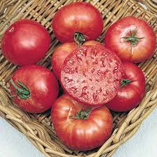 Afbeeldingsresultaat voor mortgage lifter bicolor strain tomato