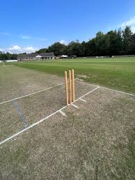 Image result for Morpeth Junior Cricket Club