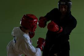 Image result for Bytomic Tae Kwon Do Lower Earley