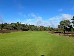 Image result for Hankley Common Golf Club