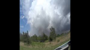 Image result for Halstead Cyclones