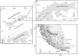 Attēlu rezultāti vaicājumam “Sanionia uncinata  sporophyte”