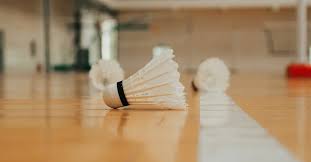 Image result for Shuttlecocks Badminton Club