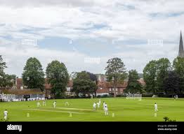 Image result for Chichester Priory Park Cc