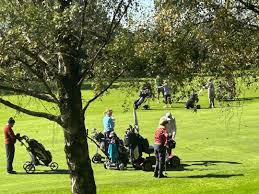 Image result for Avro Golf Club