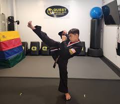 Image result for Quest Taekwondo