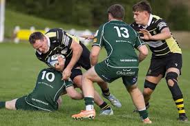 Image result for Furness Rugby Union Football Club Ltd