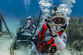 Image result for innerspace divers