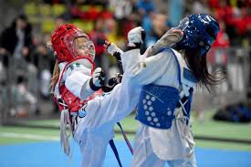 Image result for ENGLISH INTERNATIONAL ALLSTYLES TAEKWONDO
