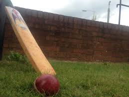 Image result for Old Vigornians Cricket Club