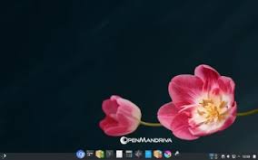 Image result for Mandriva