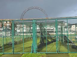 Image result for Paignton Cc