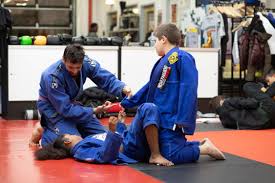 Image result for Northern Academy of Ju-Jitsu