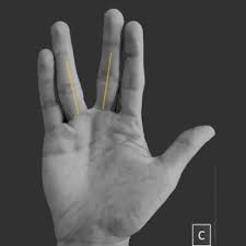 Imagini pentru vulcan greeting