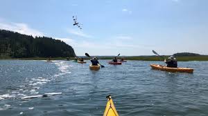 Image result for Castle Hill Canoe and Kayak Club