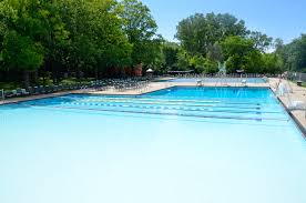 Image result for Dearne Valley Swimming Club