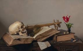 Image result for Vanitas