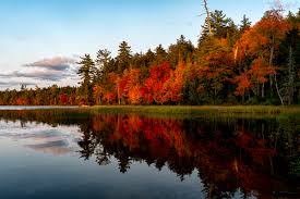 Bildergebnis für Fall…