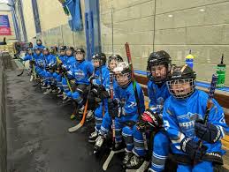 Image result for Sheffield Scimitars