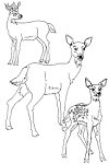 Buck coloring page