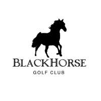 Image result for Black Horse Ballooning Club