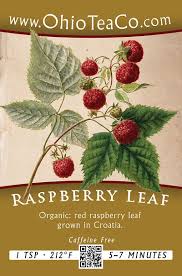 Attēlu rezultāti vaicājumam “Rubus idaeus leaf”