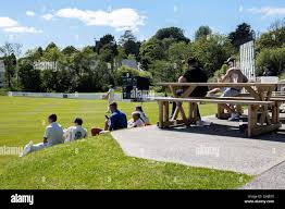 Image result for Narberth Cricket Club