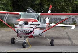 Image result for Cornish Parachute Club