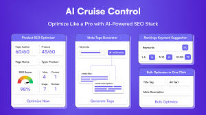Bildergebnis für seo karten image
