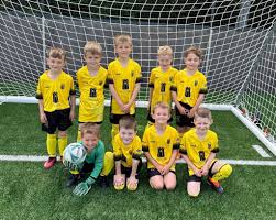 Image result for Buckland & Milber Football Club