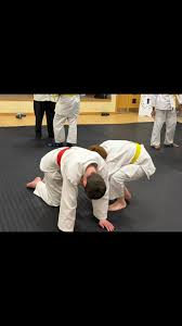 Image result for Halewood Inclusive Judo Club
