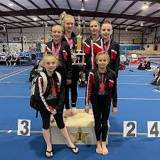 Image result for Mo-Gylity Gymnastics Club