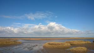 Image result for Snettisham Cc