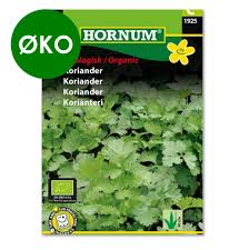 Image result for Koriander