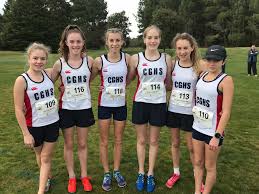 Image result for Christchurch Ladies Netball Club