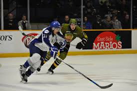 Image result for Sudbury Hockey Club