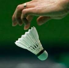 Image result for Pilling Badminton Club