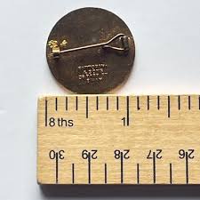 Image result for Braunton Bowling Club