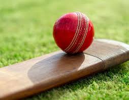 Image result for Bat Sports Cricket Club