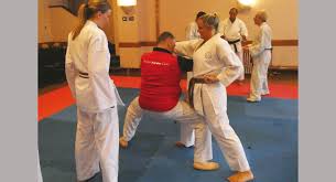 Image result for Bristol Karate Club