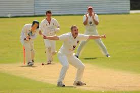 Image result for Alberbury Cricket Club