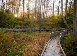 Image result for Little Common Community Sports Club